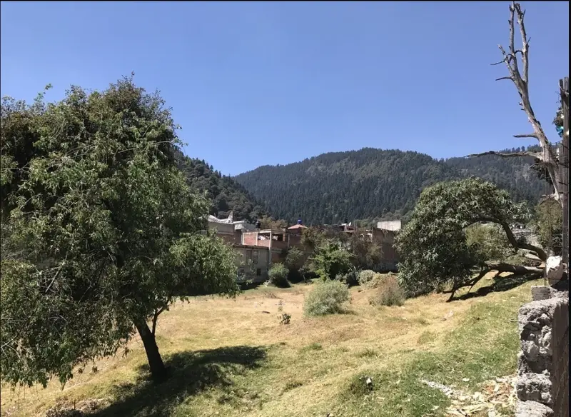 Foto 8