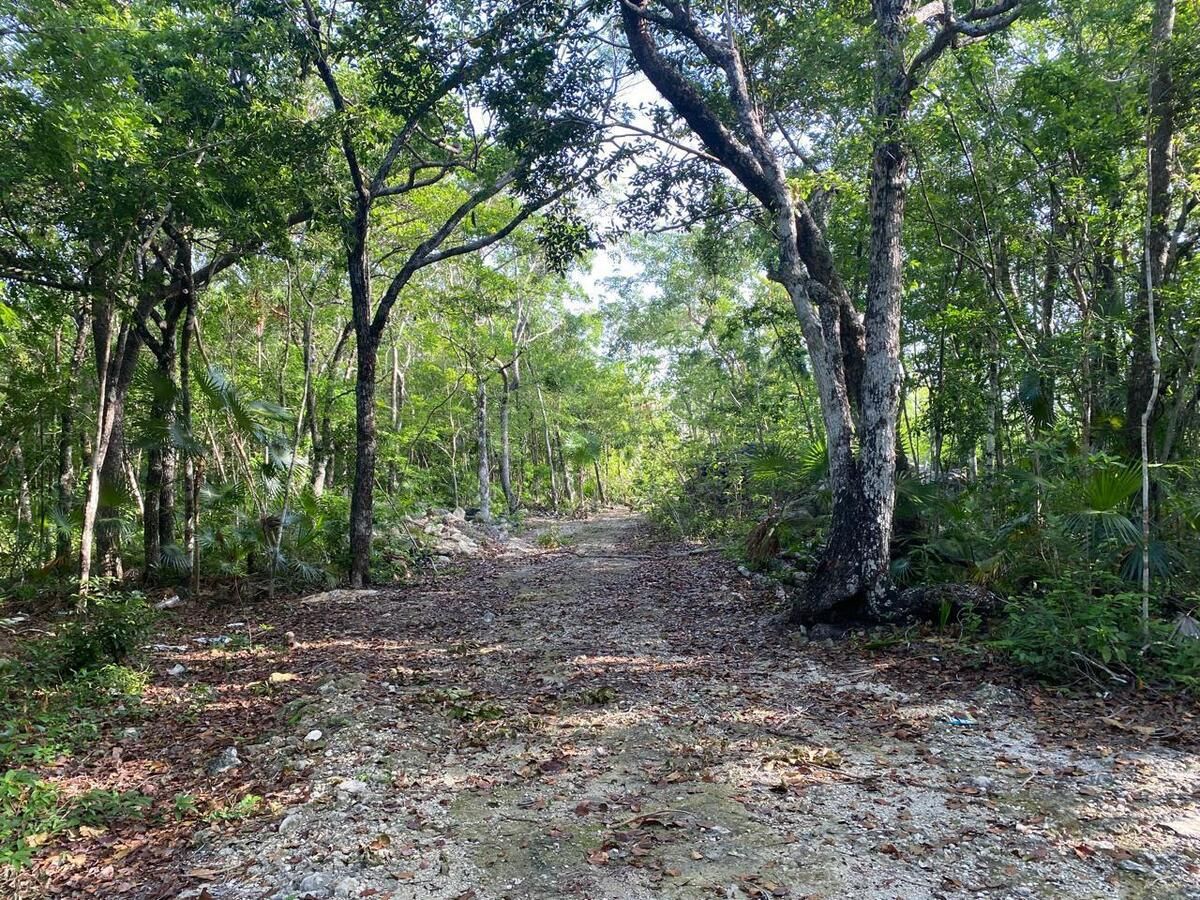 Lote en venta · La Veleta, Tulum, Quintana Roo