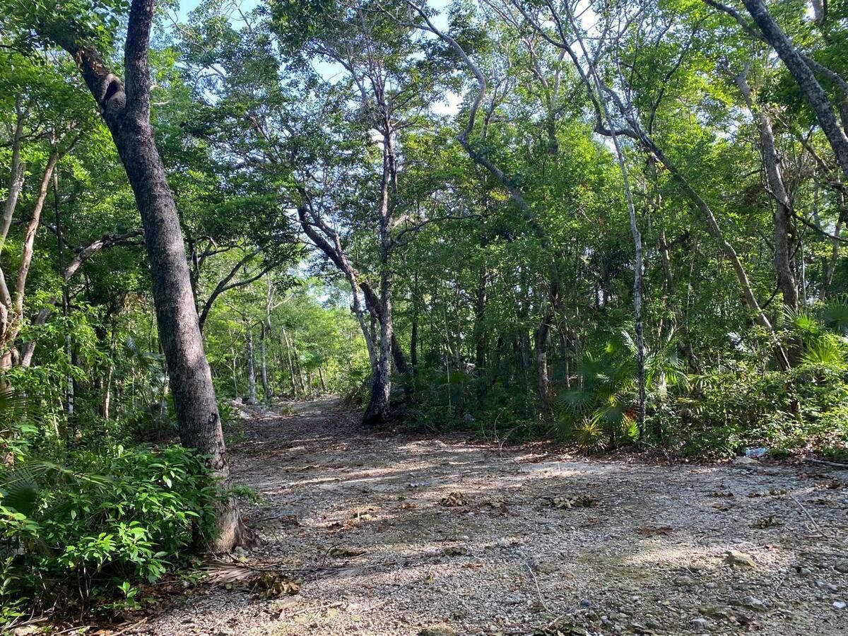 Lote en venta · La Veleta, Tulum, Quintana Roo
