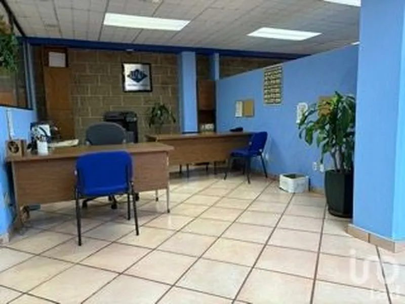 Foto 7