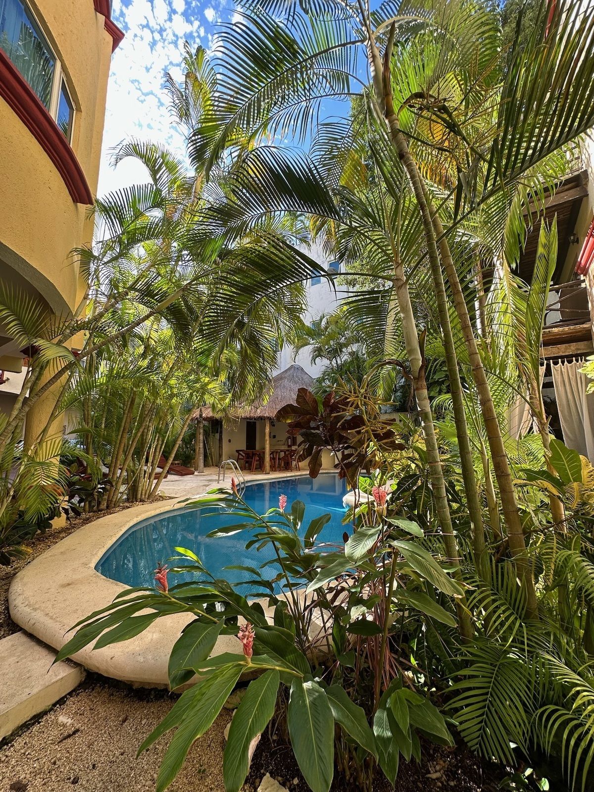 Departamento en renta temporal · Playa del Carmen Centro, Playa del Carmen, Solidaridad, Quintana Roo