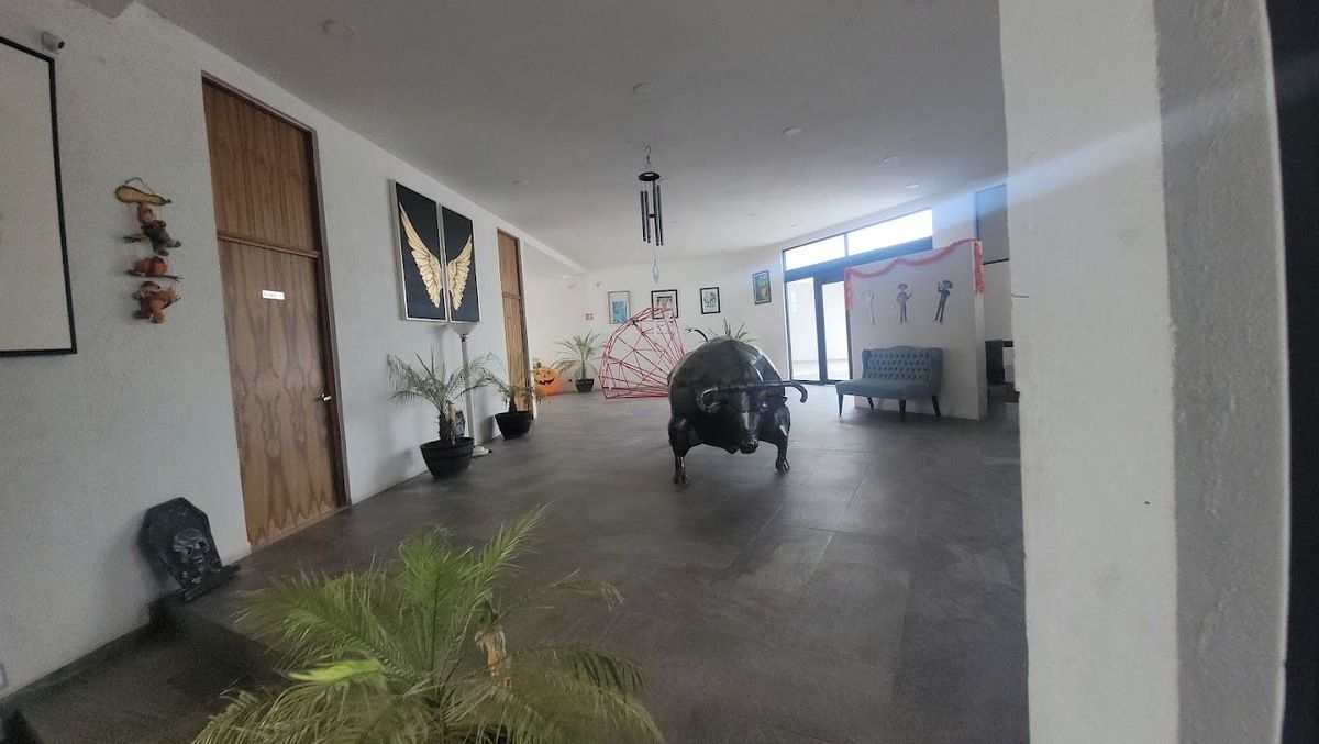 Foto 6