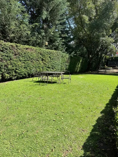 Foto 15