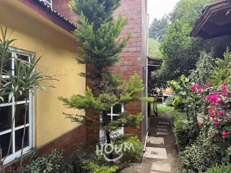 Foto 41