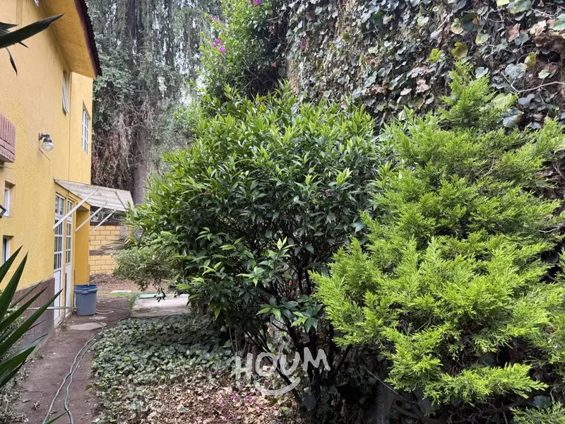 Foto 40