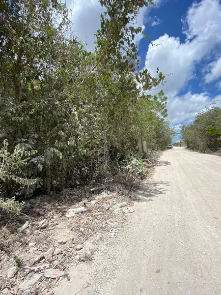 Foto 6
