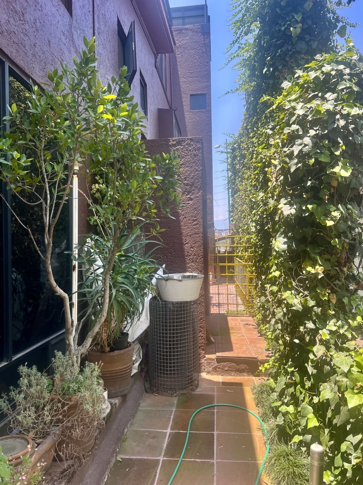 Foto 36
