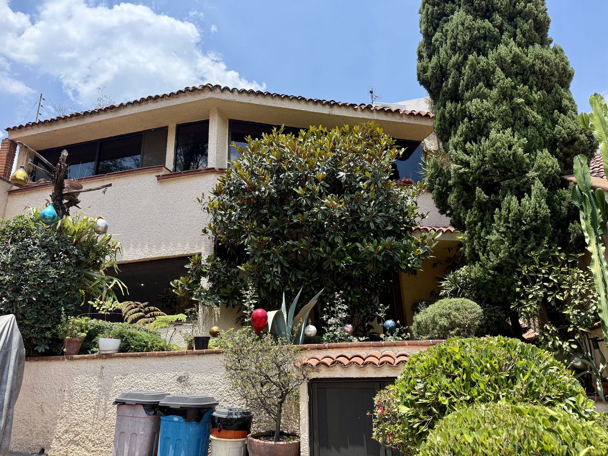 Foto 15