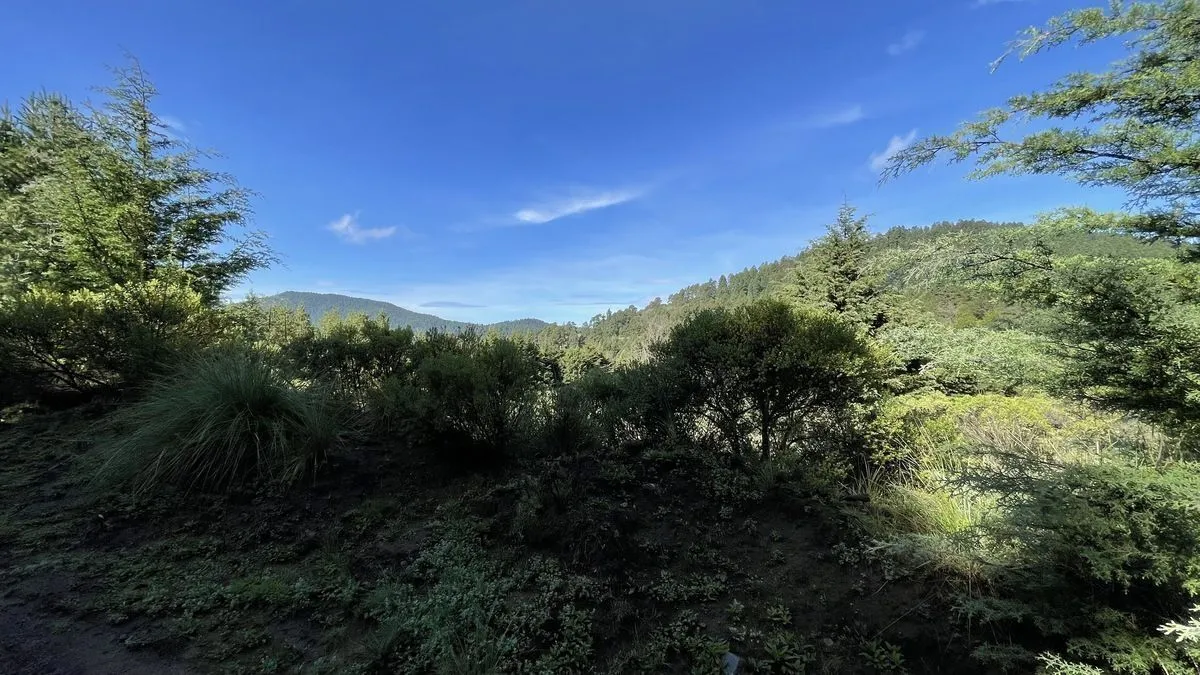 Lote en venta · Salazar, Lerma, Estado de México