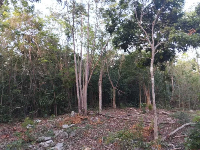 Lote en venta · Playa Azul, Solidaridad, Quintana Roo