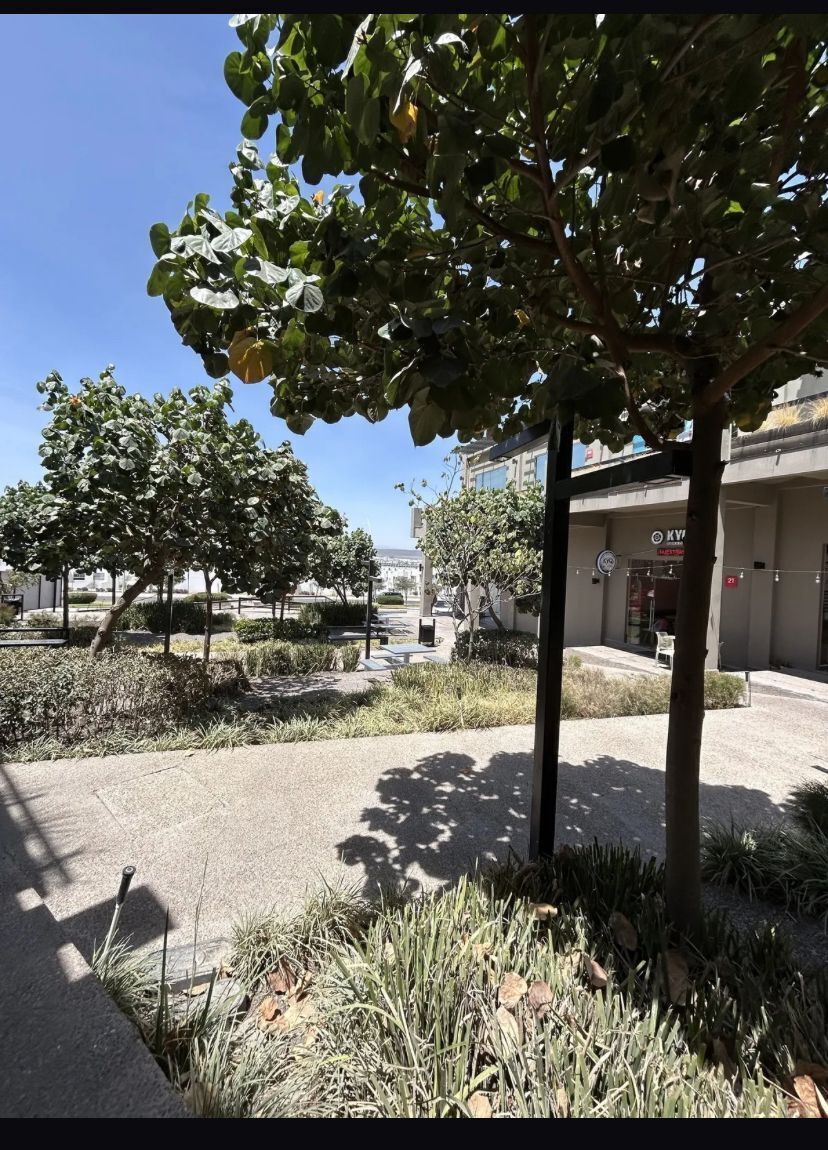 Comercio en venta · Zákia, El Marqués, Querétaro