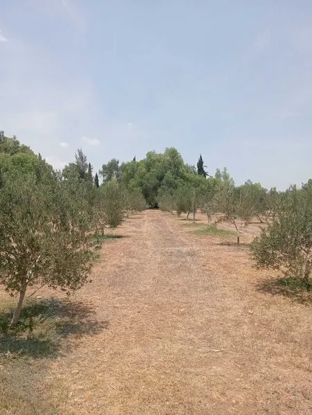 Foto 20