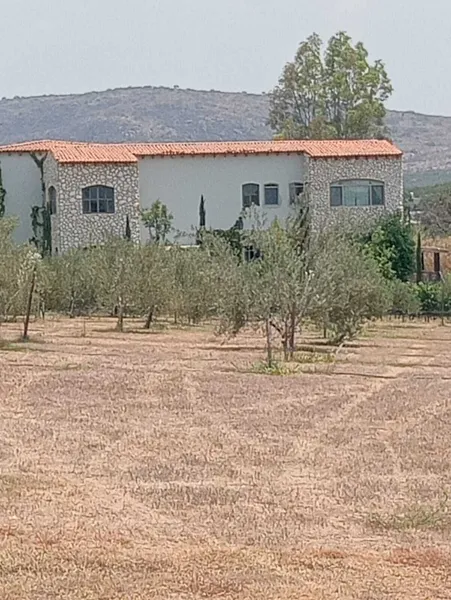 Foto 17