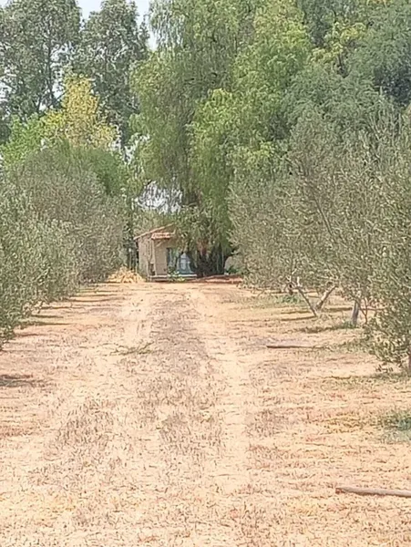 Foto 18