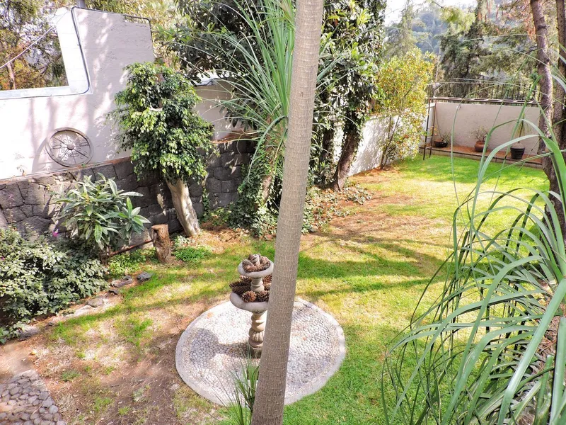 Foto 6