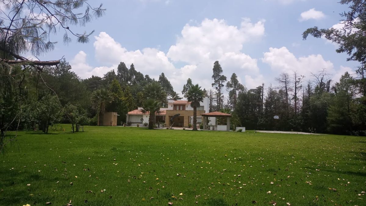 Foto 46