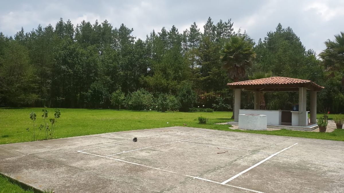 Foto 44