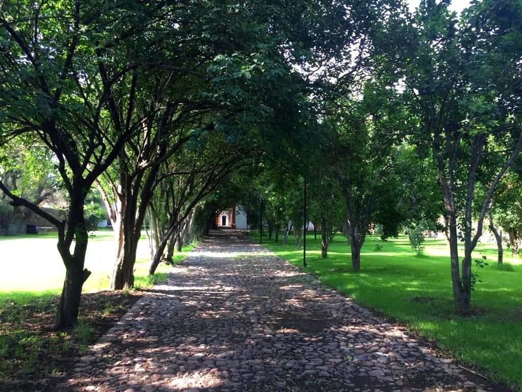 Foto 15