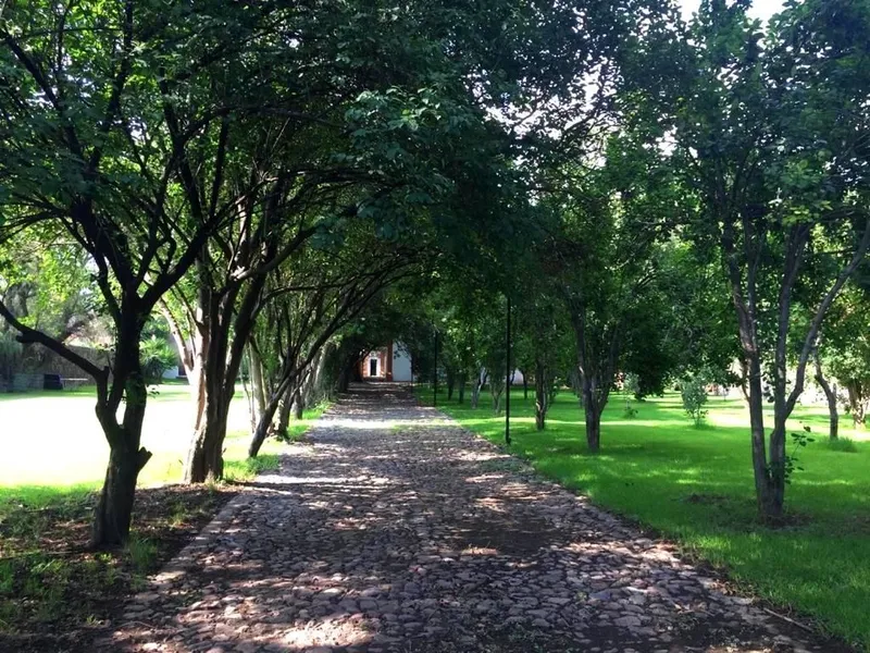 Foto 15