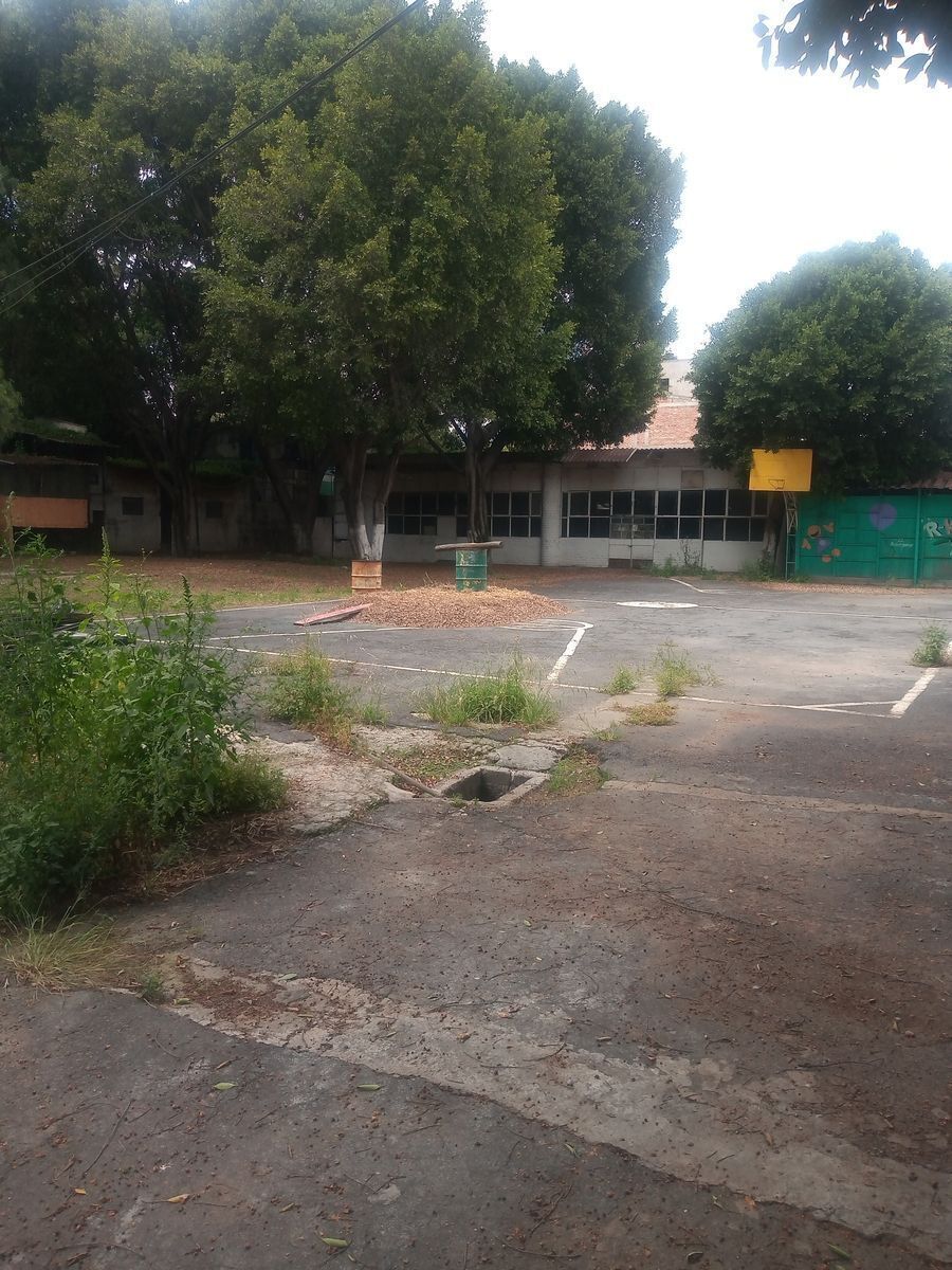Foto 6