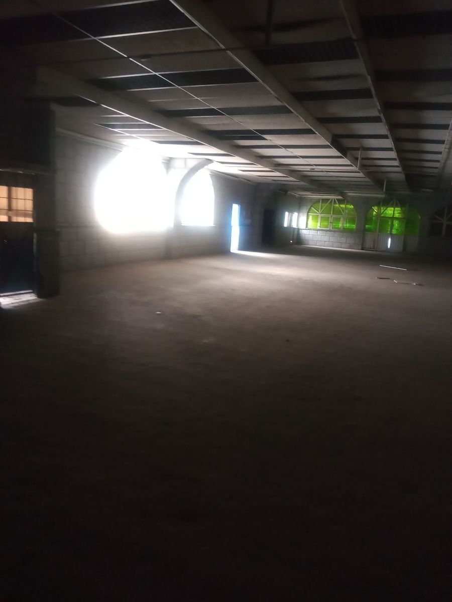 Foto 16
