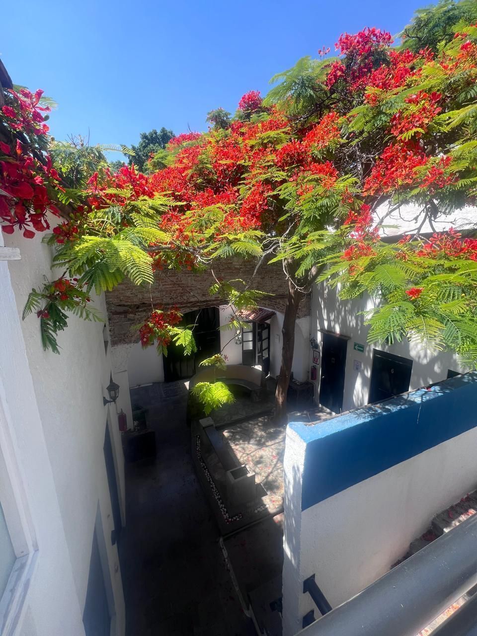 Foto 42