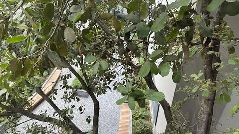 Foto 14