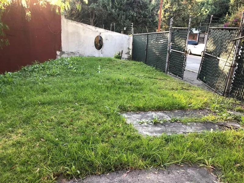 Foto 10